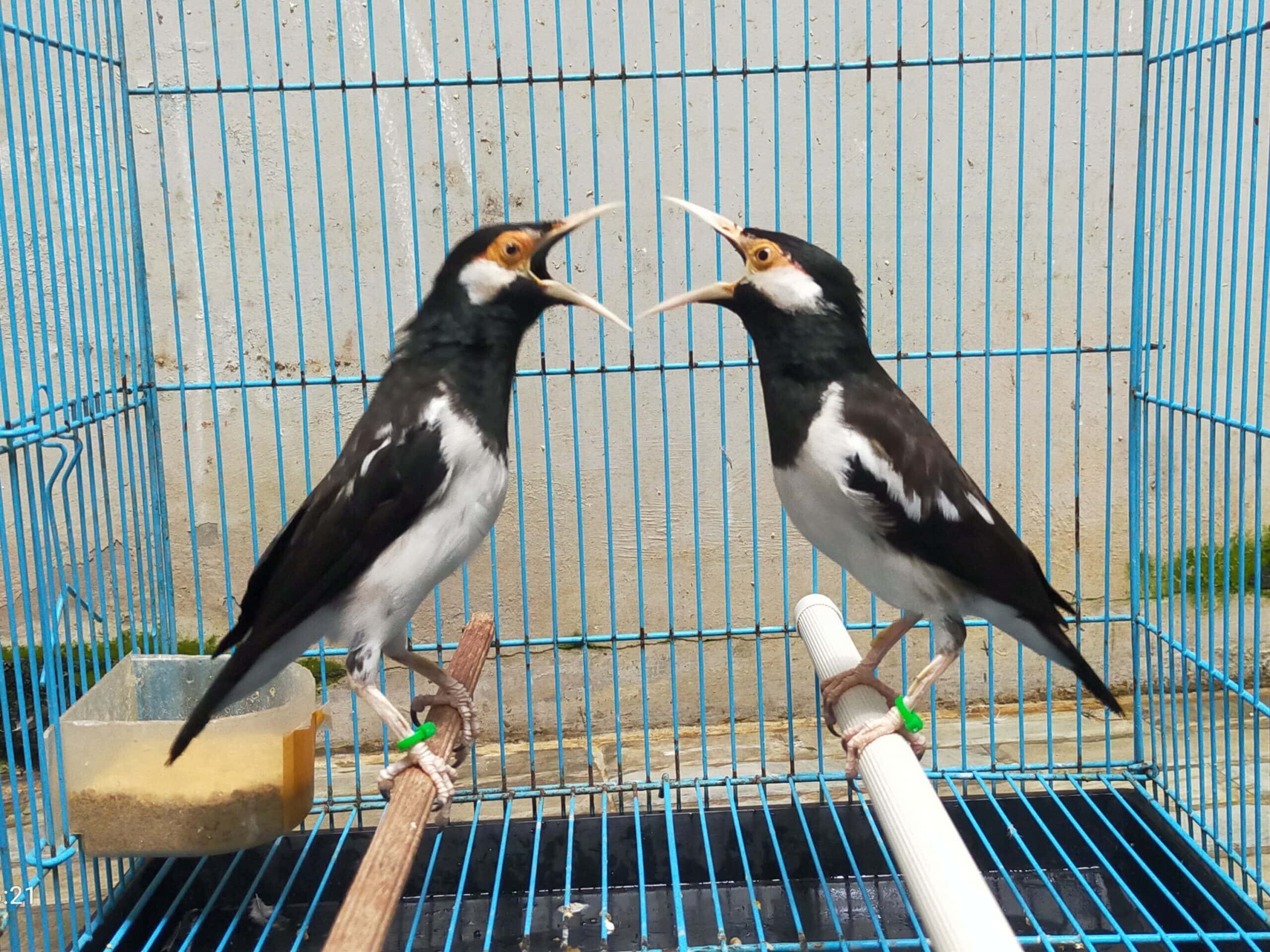 img_20230404_040937-scaled-4-4001718