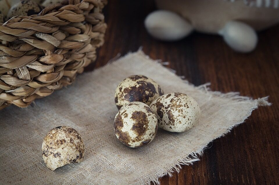 quail-eggs-1247388_960_720-6338594